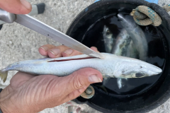 022007D5-E655-4FA5-9269-05CCEA6740A5