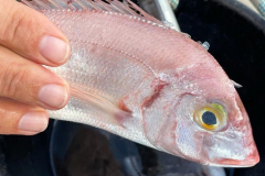 2809EFC4-BA05-4796-98E4-2DDFA6E20658