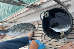 32B83CAA-4D9F-4626-86DC-3C008D0CC315