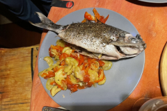 4FBB6C32-A53B-4E57-BCC4-92A4841E4077