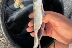 673D9E94-9B91-4F7A-8AED-AB99423E9D36