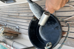 6EBA0EB7-B905-4629-A3B3-DD41B63EFD1C