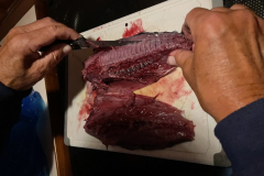 B54B167B-5472-4DB9-B44B-95FC3A0930B5