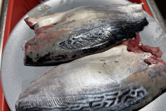 D439A723-5105-4679-87C4-410A1EA8C883