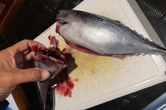 FDE79892-E4FC-4C5F-9DB5-06E1B3104EDF